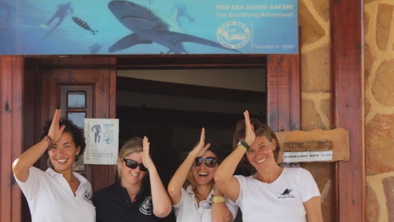 Red Sea Sharks Workshop